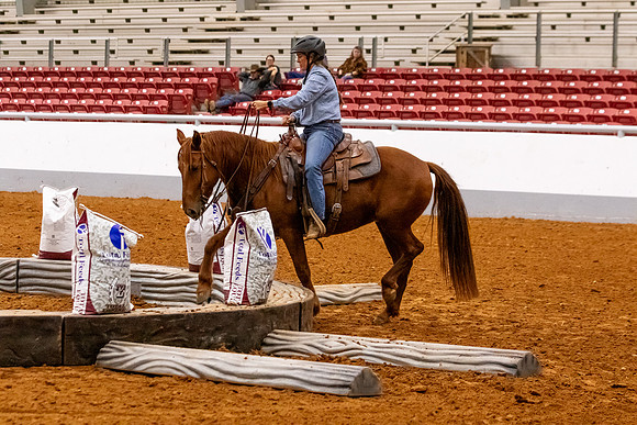 2025WorldsMustangR2-6876