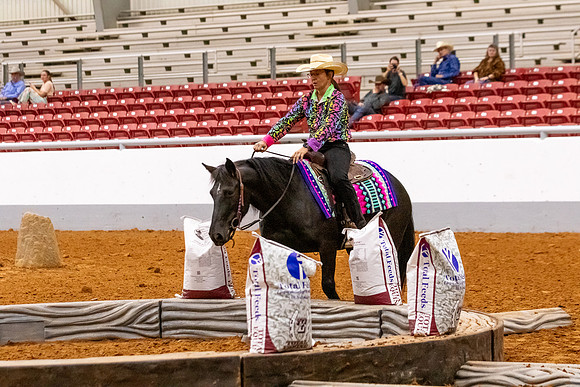 2025WorldsMustangR2-6777