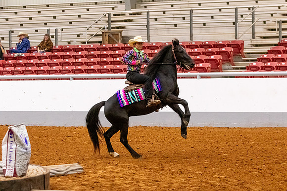 2025WorldsMustangR2-6775