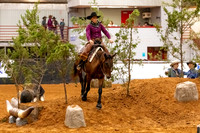2025WorldsNewPartnerMustang-7079