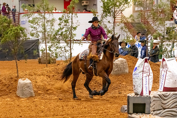 2025WorldsNewPartnerMustang-7085