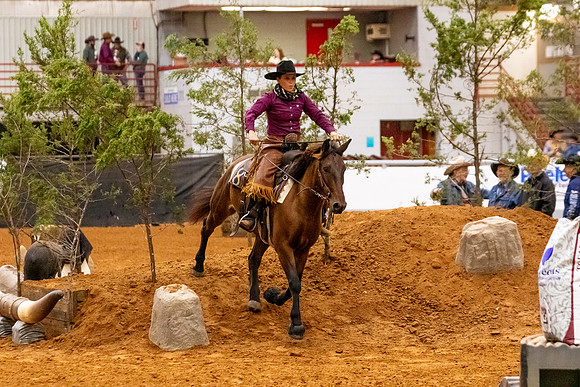 2025WorldsNewPartnerMustang-7082