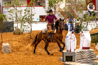 2025WorldsNewPartnerMustang-7086