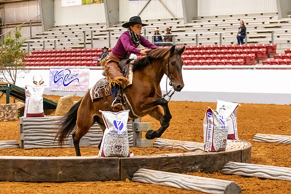 2025WorldsNewPartnerMustang-7091
