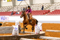 2025WorldsNewPartnerMustang-7095