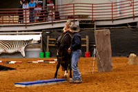 2025WorldsOpen&LeadLine-9952