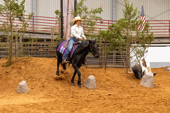 2025WorldsNewPartnerFinals-0828