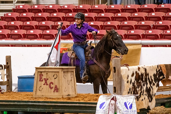 2025WorldsNewPartnerFinals-0901