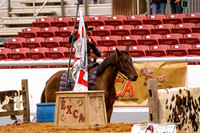 2025WorldsNewPartnerFinals-0928