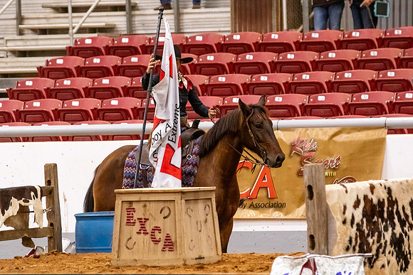 2025WorldsNewPartnerFinals-0928
