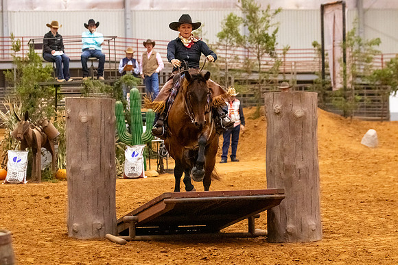 2025WorldsNewPartnerFinals-0936