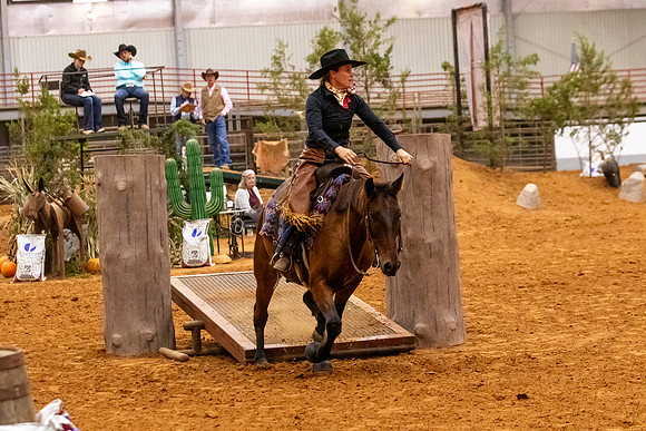 2025WorldsNewPartnerFinals-0940