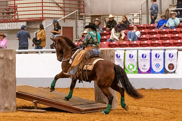 2025WorldsOpenMustangFinals-2040