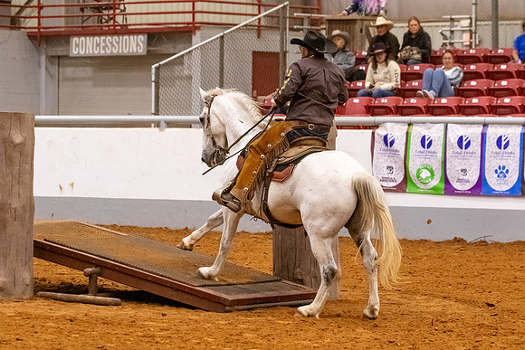 2025WorldsOpenMustangFinals-2177
