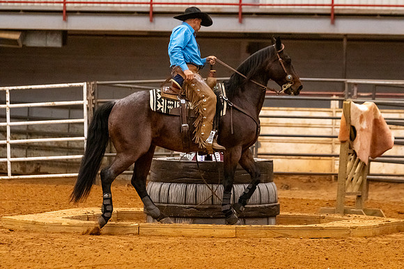 2025WorldsProFinals-3118