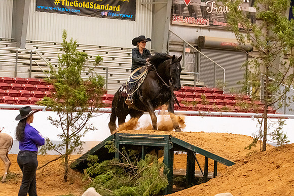 2025WorldsProFinals-3070