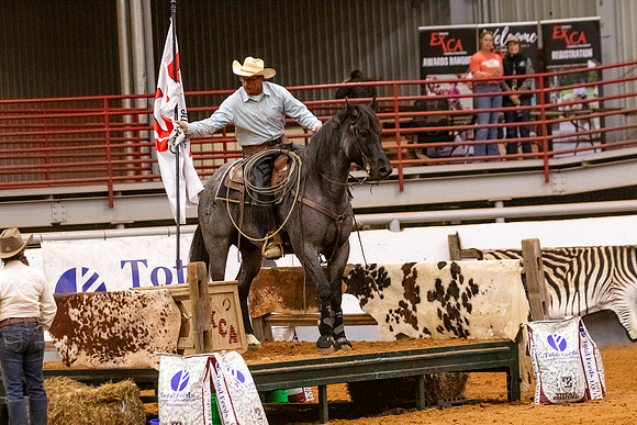 2025WorldsProFinals-2956