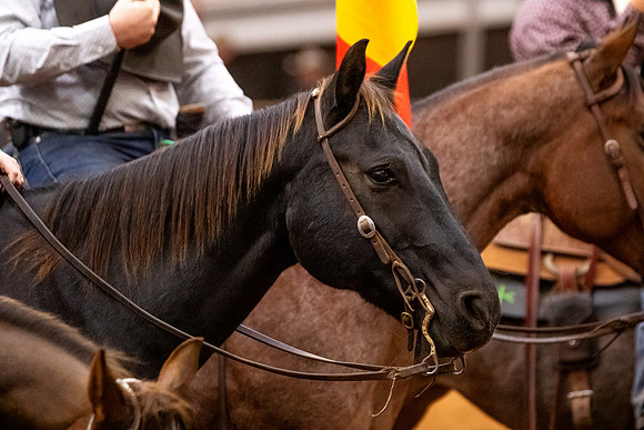 2025WorldsMustangR2-4891