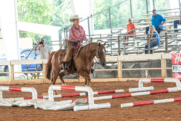 Gainesville-4956