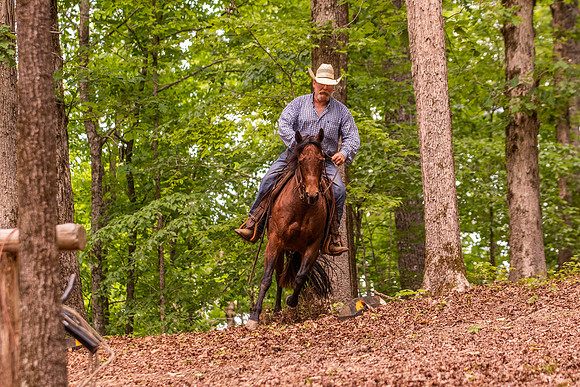 HodgesRace-6389