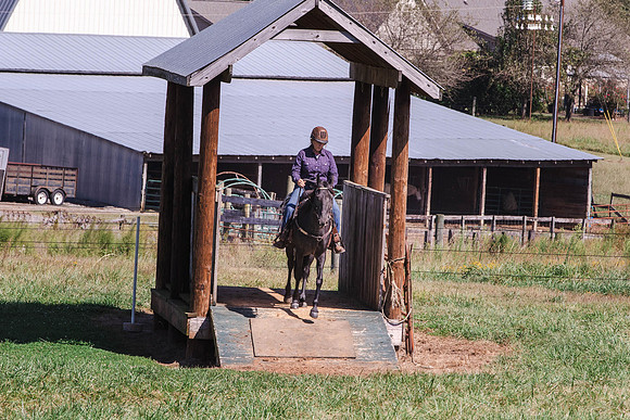 Terri-1741