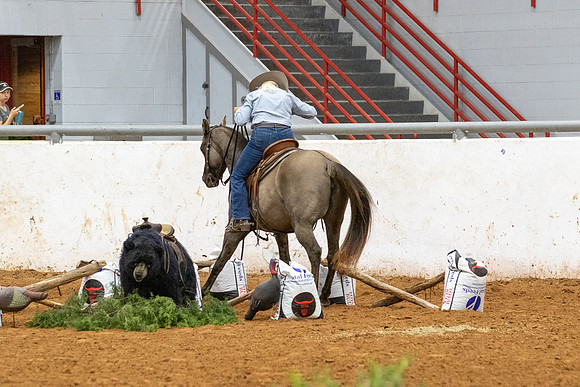 NoviceR2-1024