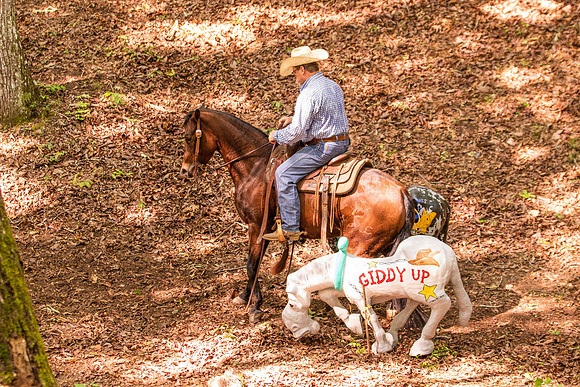 HodgesRace-5277