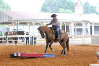 EXCARegionals-201