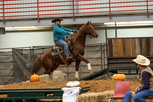 Mule&FuturityR2-364