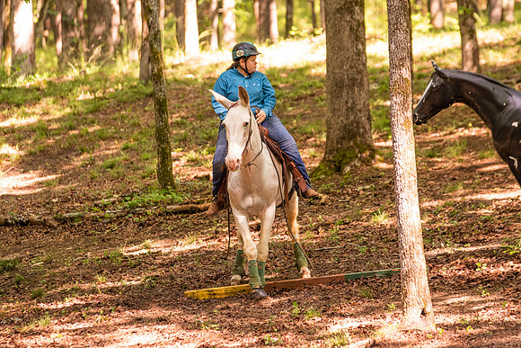 HodgesRace-5228