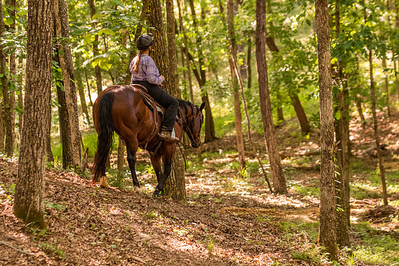 HodgesRace-6785