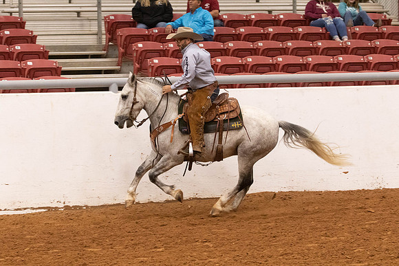 Mustang-1422
