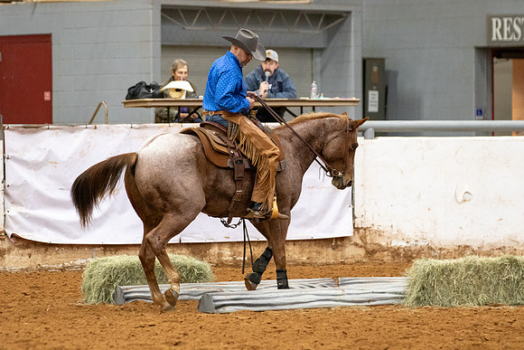 Mule&FuturityR2-439
