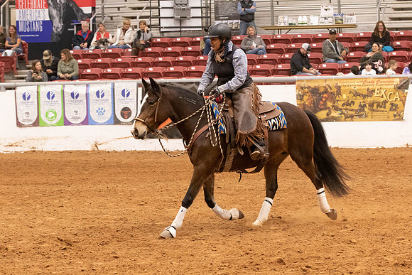 Mustang-1276