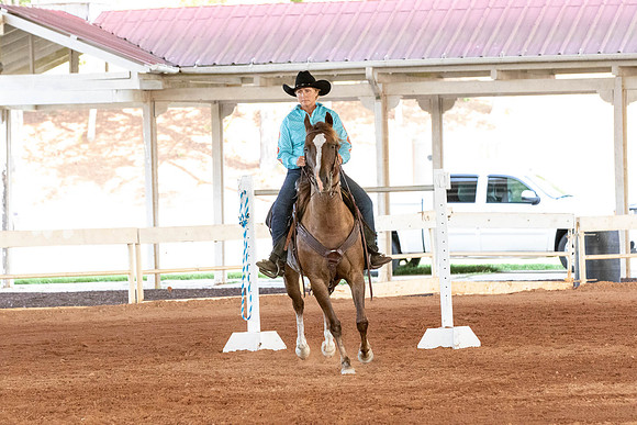 Lesa-4370