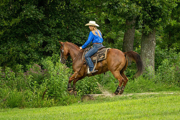 IMG_4799