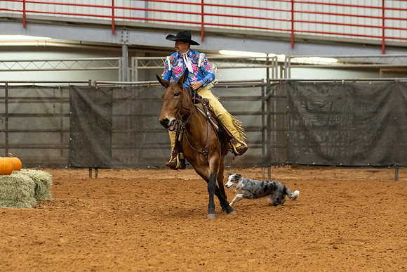 Mule&FuturityR2-181