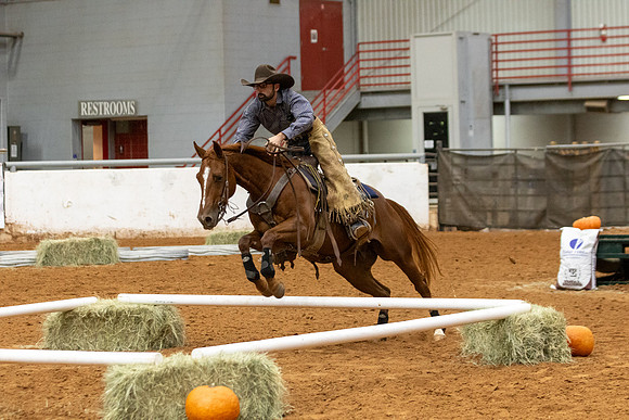 Mule&FuturityR2-401