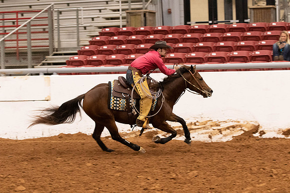 NonProR1-6942