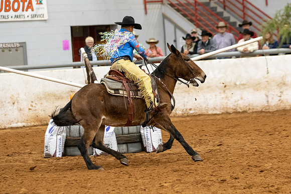 Mule&FuturityR2-187