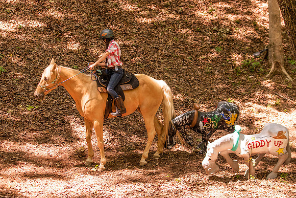 HodgesRace-5780