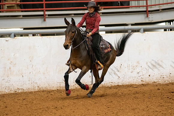 Mule&FuturityR2-96
