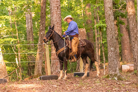 HodgesRace-7603