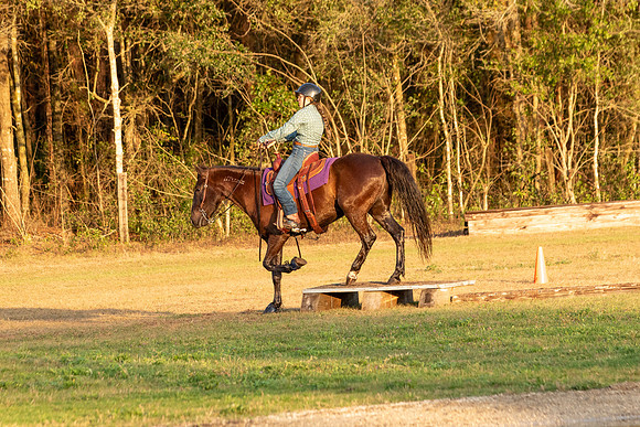 FLRace-2482