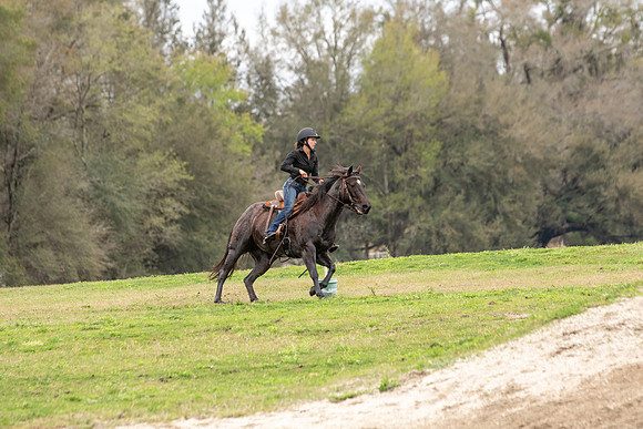 FLRace-1512