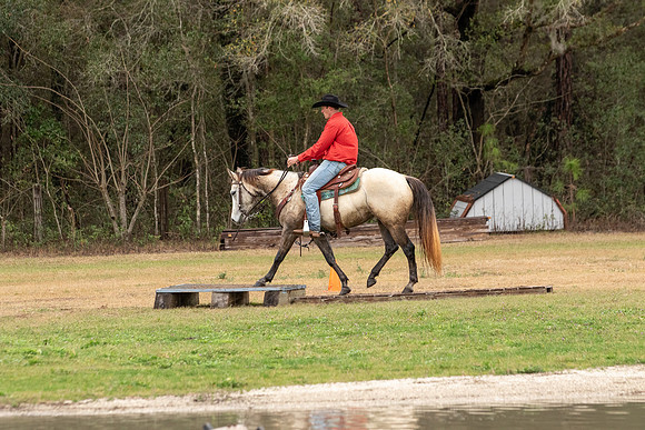 FLRace-1711
