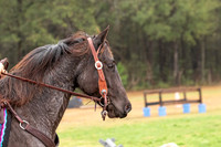 FLRace-152