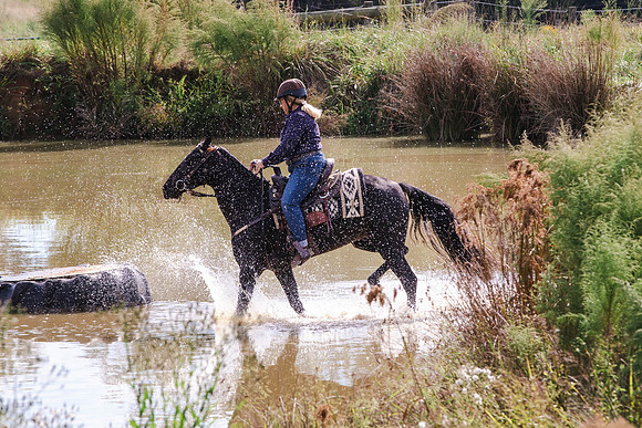 Terri Glonek-0418