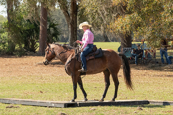 EXCAOcala-8040