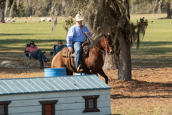 EXCAOcala-7972